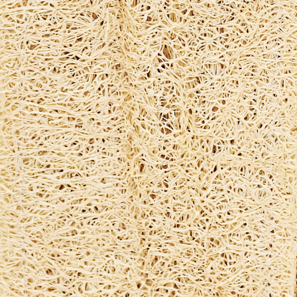 GANT LUFFA - Exfoliant & Anti-cellulite