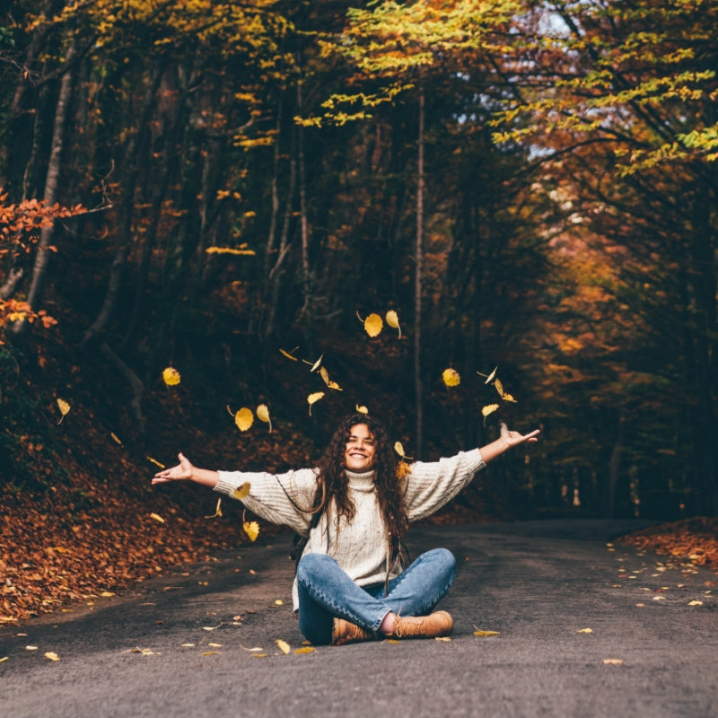 Conditions climatiques de l'automne