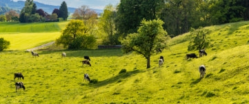 La biodiversité préservée grâce à l’élevage bio