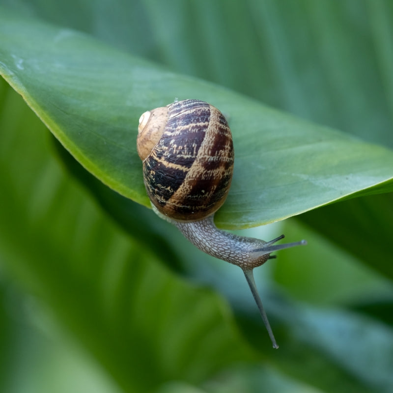 Lutte contre les signes de l’âge dus au UV