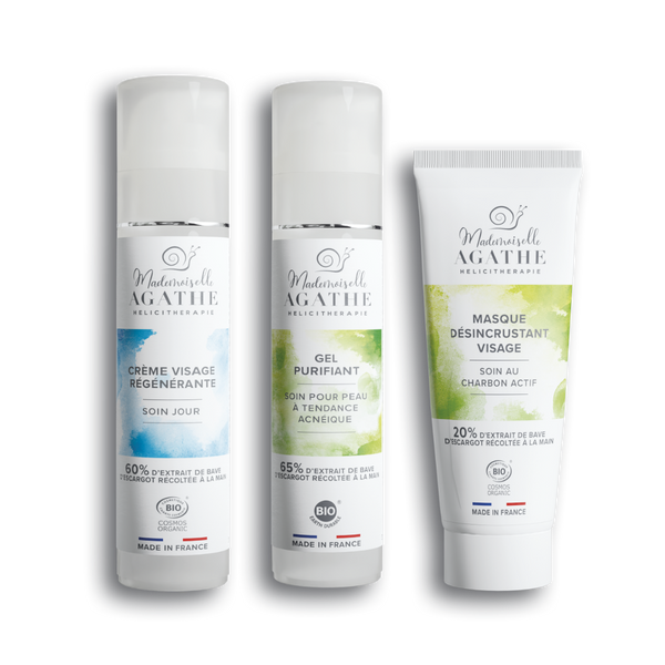 ROUTINE PEAU GRASSE - Purifiante & Régulatrice