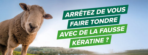 5 bonnes raisons de préférer la kératine animale à la phytokératine végétale pour vos cheveux