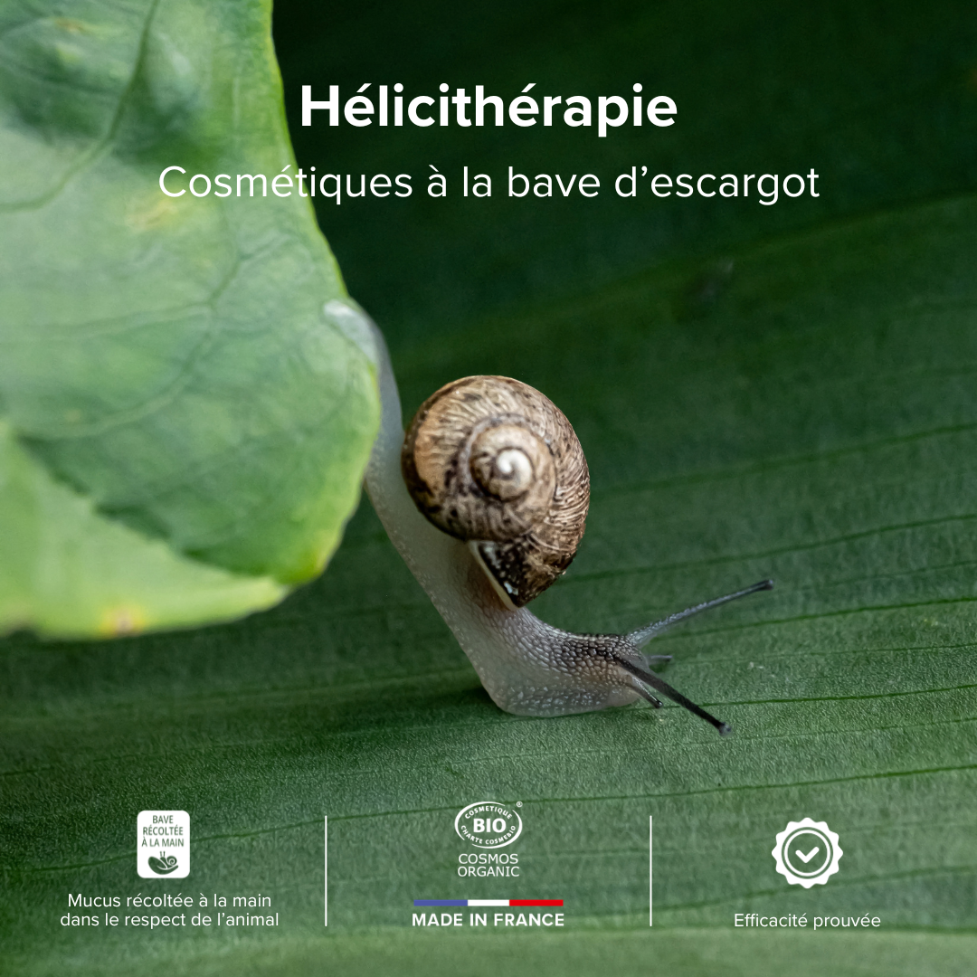 CREME JOUR Certifiée Bio - Hydratante & Régénérante