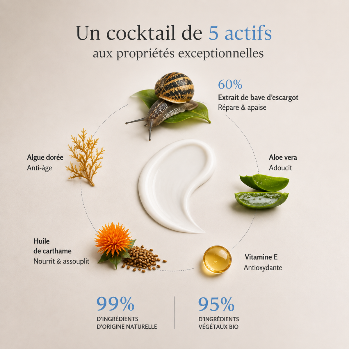 CREME JOUR Certifiée Bio - Hydratante & Régénérante