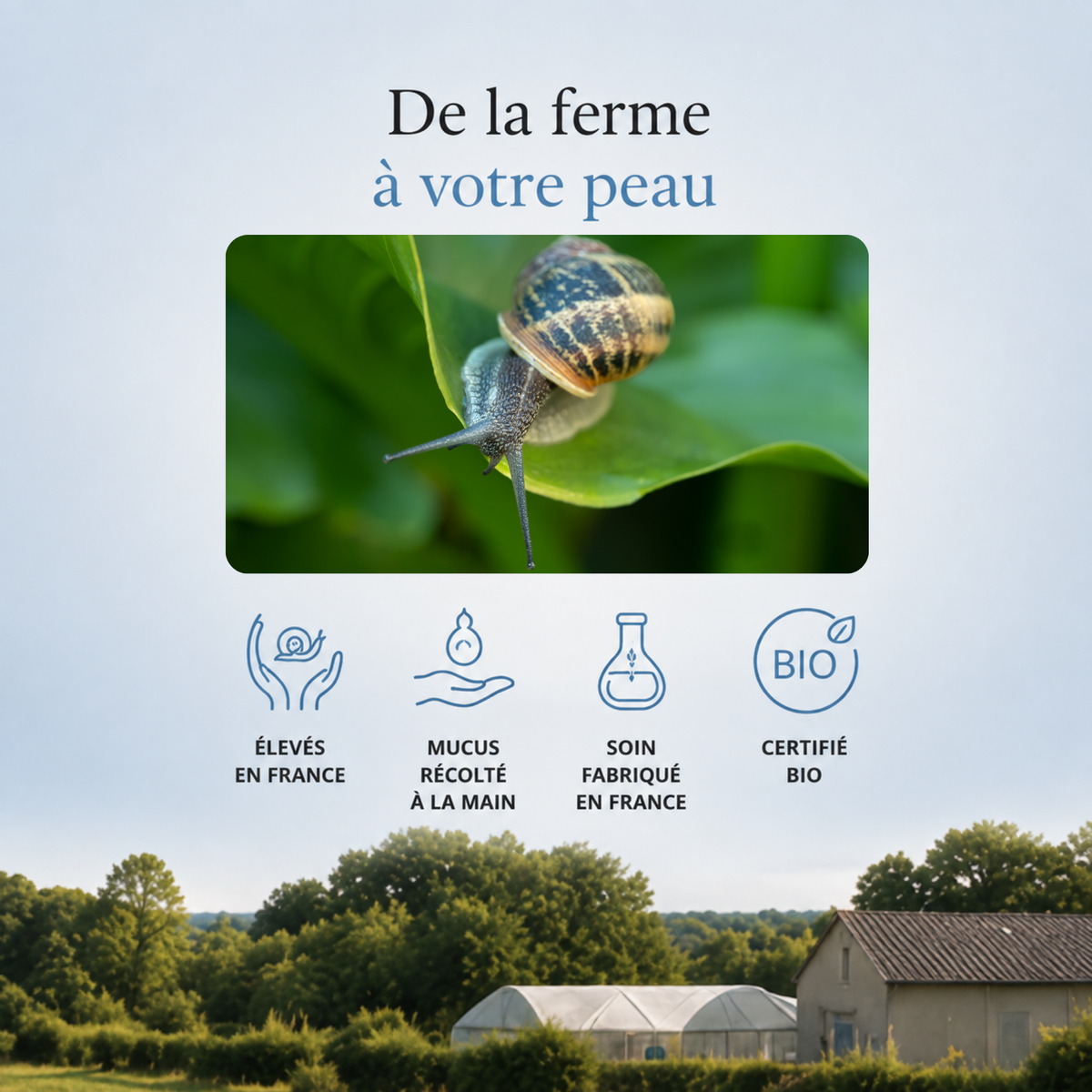 CREME JOUR Certifiée Bio - Hydratante & Régénérante