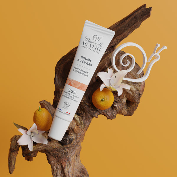 BAUME LEVRES Certifié Bio - Apaisant & Réparateur