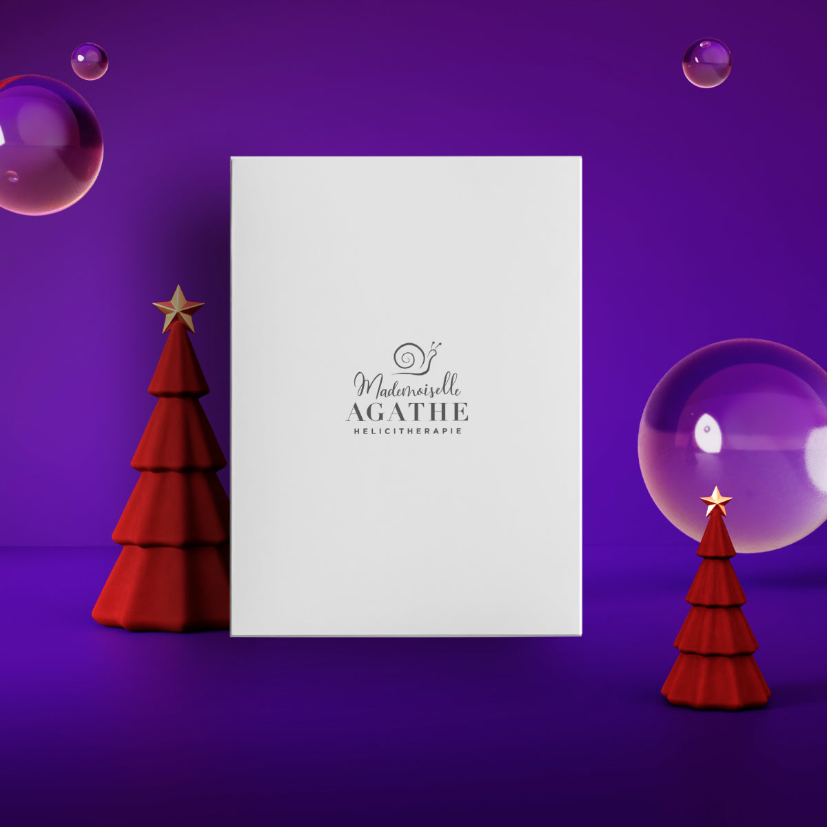 LA BOITE CADEAU Mademoiselle Agathe