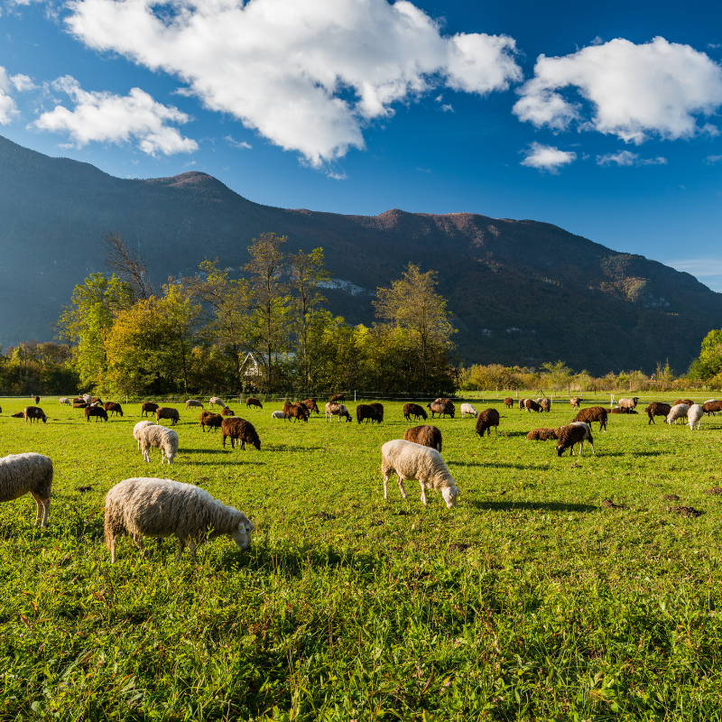 soutenir les agriculteurs et agricultrices