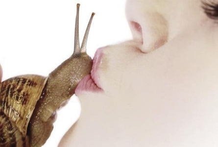 Les bienfaits de la bave d'escargot