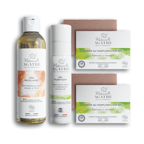 ROUTINE PEAU ACNEIQUE - Purifiant