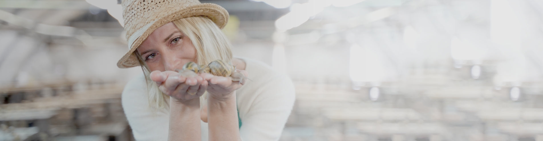 UNE RECOLTE MANUELLE ET RESPECTUEUSE DE NOS ESCARGOTS